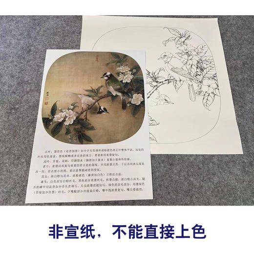 【有步骤、大彩图】工笔画白描底稿小品《海棠白头》花鸟线稿KG09 商品图2