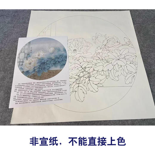 【有步骤、大彩图】工笔画白描底稿《福临家门》牡丹花鸟线稿KG06 商品图2