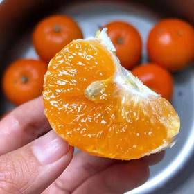 广西武鸣沃柑（产地直发）