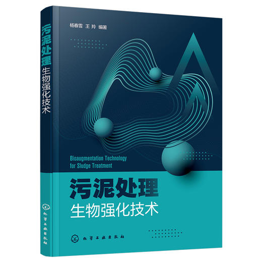 污泥处理生物强化技术 商品图1