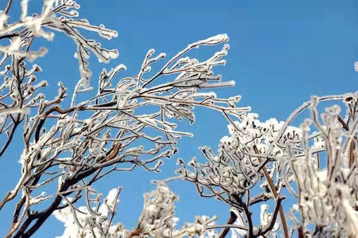 湖南·五岳独秀赏雾凇，雪域衡山拍摄2天游 商品图1