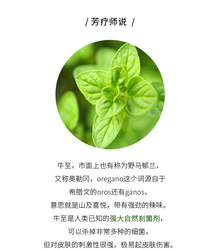 初芳疗truecare牛至5ml纯精油