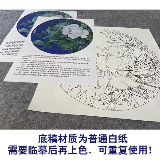 【有步骤、大彩图】工笔画白描底稿《国色双辉》牡丹花鸟线稿KG08 商品图3