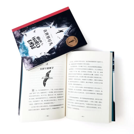 在世界尽头：奇想文库儿童文学平装 商品图4