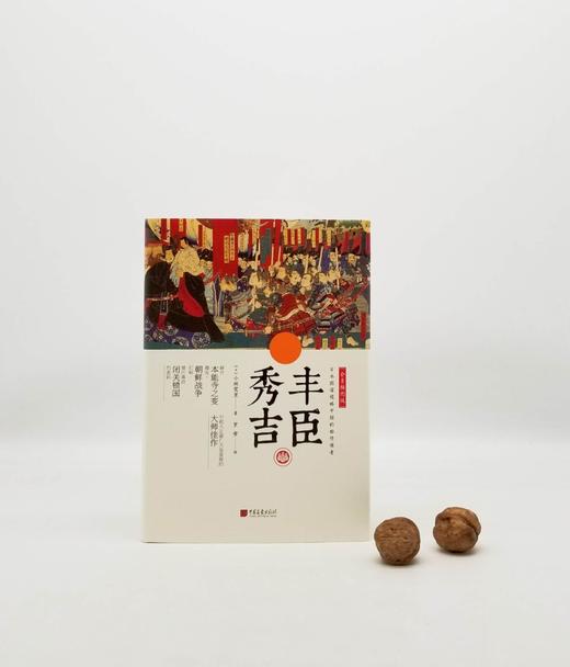 全景插图版：《丰臣秀吉》，精装 商品图0