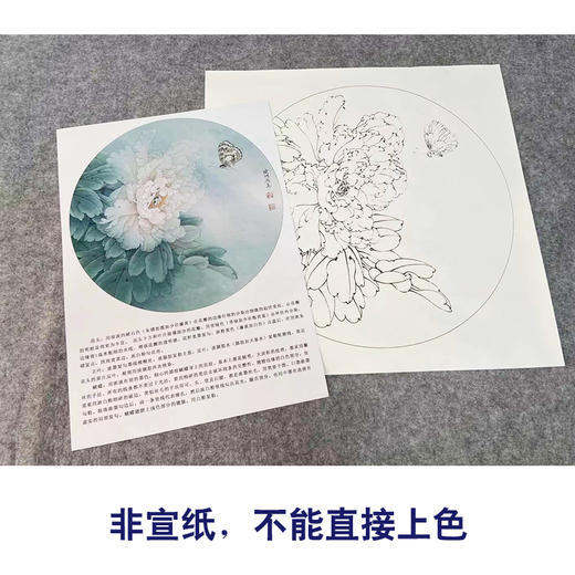 【有步骤、大彩图】李晓明工笔花鸟画白描底稿牡丹花小品《牡丹蛱蝶图》KG15 商品图2