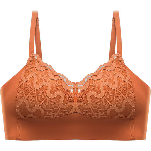 【无痕一体 蚕丝蛋白内衬】四季款纯色蕾丝抹胸内衣 立体三角杯 无钢圈更舒适 大胸显小文胸 商品图4