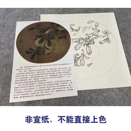 【有步骤、大彩图】工笔画白描稿橘子麻雀临摹勾线花鸟线稿KG11 商品图2