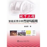 地下工程智能反馈分析方法与应用/姜谙男