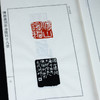 陈维篆刻  原拓版《陈维篆刻新金陵四十八景印谱》 金石印坊钤拓 仅7部 商品缩略图3