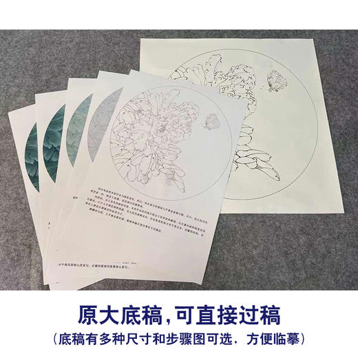 【有步骤、大彩图】李晓明工笔花鸟画白描底稿牡丹花小品《牡丹蛱蝶图》KG15 商品图1
