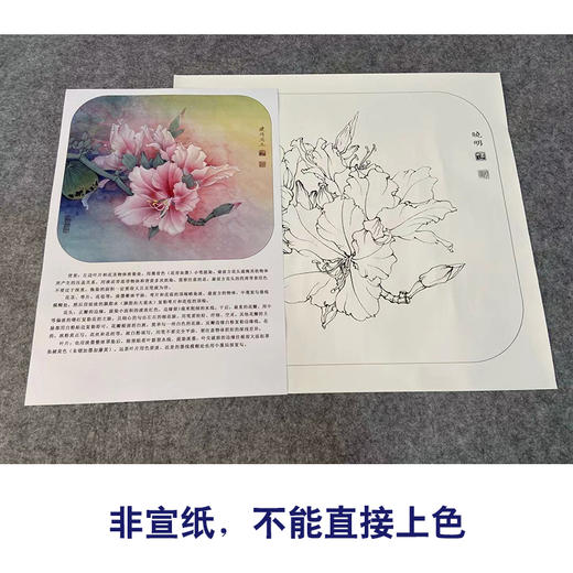 【有步骤、大彩图】工笔画白描底稿《粉紫荆》紫荆花花鸟线稿KG04 商品图2