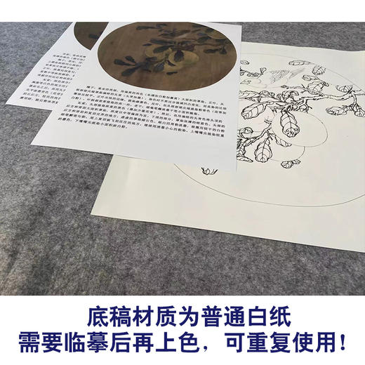【有步骤、大彩图】工笔画白描稿橘子麻雀临摹勾线花鸟线稿KG11 商品图3