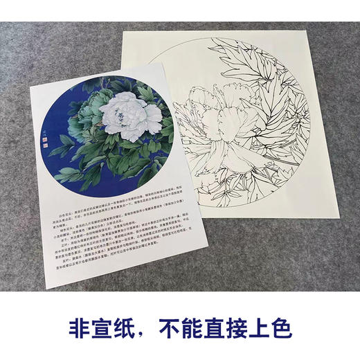 【有步骤、大彩图】工笔画白描底稿《国色双辉》牡丹花鸟线稿KG08 商品图2