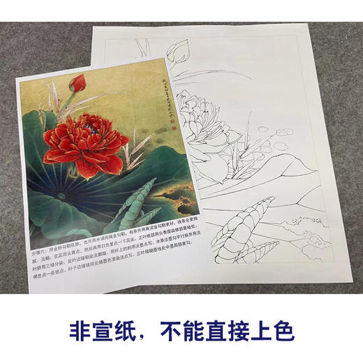 【有步骤、大彩图】李晓明工笔画白描底稿《别样红》荷花初学者临摹花鸟线稿KE15 商品图2