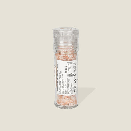 法国普朗丹牌夏季黑松露调味盐（调味品）100g 商品图1