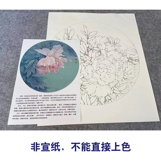 【有步骤、大彩图】工笔画白描底稿《酒醉杨妃》牡丹花鸟线稿KG10 商品图2