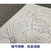 【有步骤、大彩图】李晓明工笔画白描底稿《别样红》荷花初学者临摹花鸟线稿KE15 商品缩略图4