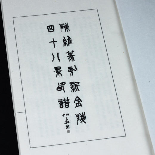 陈维篆刻  原拓版《陈维篆刻新金陵四十八景印谱》 金石印坊钤拓 仅7部 商品图2
