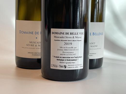 杰罗姆美景园酒庄麝香干白葡萄酒2019 Muscadet Sevre et Maine white Domaine de Bellevue – Jerome Bretaudeau 商品图1