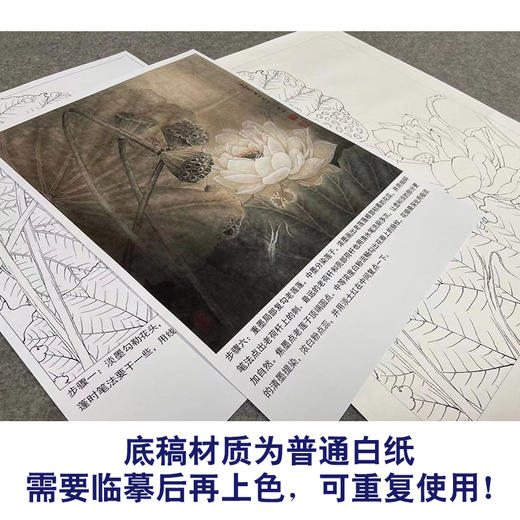 【有步骤、大彩图】李晓明工笔画白描底稿小品《亘古》荷花初学者临摹花鸟线稿KE16 商品图3