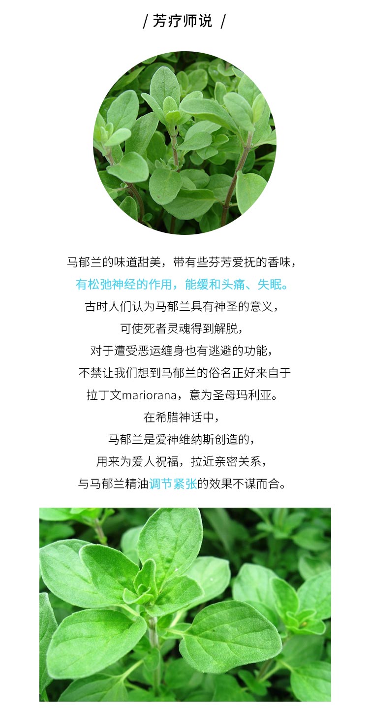 初芳疗truecare马郁兰单方精油10ml姨妈痛肌肉酸痛失眠放松