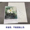 【有步骤、大彩图】李晓明工笔画白描底稿《荷韵》荷花初学者临摹花鸟线稿KE17 商品缩略图2