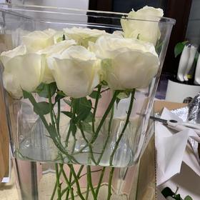这个白玫瑰真的很高雅