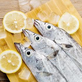 鲜到鲜得真正舟山带鱼 1000g装（8-9条装）去头去尾