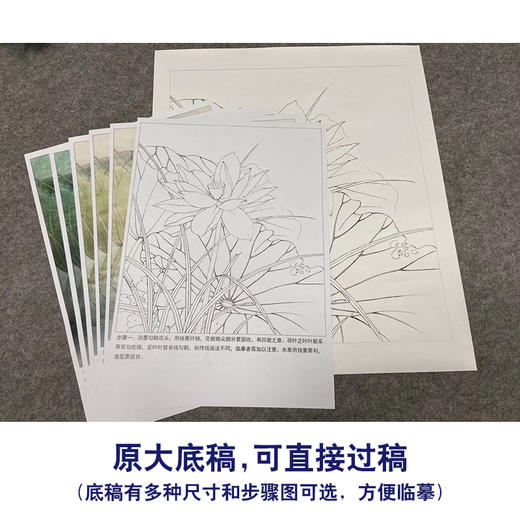 【有步骤、大彩图】李晓明工笔画白描底稿《荷韵》荷花初学者临摹花鸟线稿KE17 商品图1