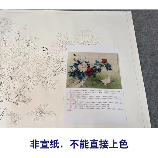 【有步骤、大彩图】工笔画白描底稿《春光明媚》牡丹花鸟线稿KG02 商品图2