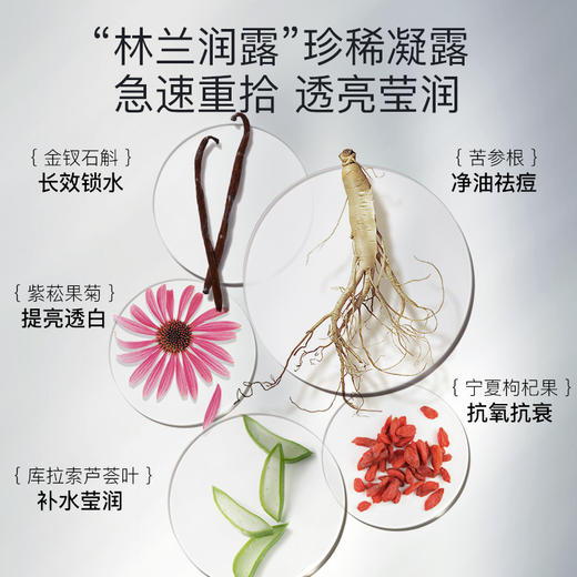 【已下架】赫铂之泪 水光面膜 [B类] 商品图3