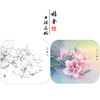 【有步骤、大彩图】工笔画白描底稿《粉紫荆》紫荆花花鸟线稿KG04 商品缩略图0