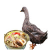 活鸭【宰杀】【1.6kg—1.7kg】 商品缩略图1