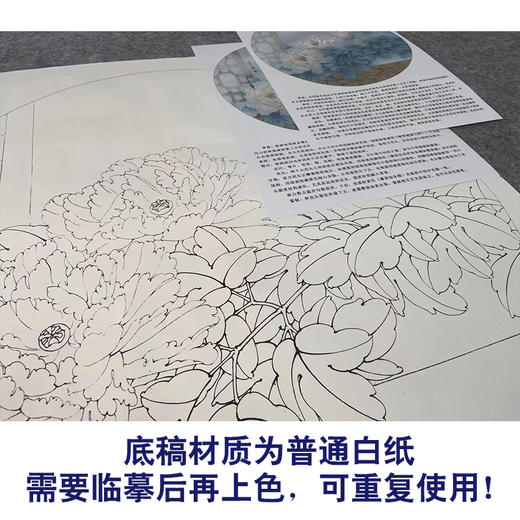 【有步骤、大彩图】工笔画白描底稿《福临家门》牡丹花鸟线稿KG06 商品图3