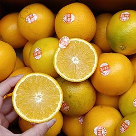 褚橙优级礼盒装