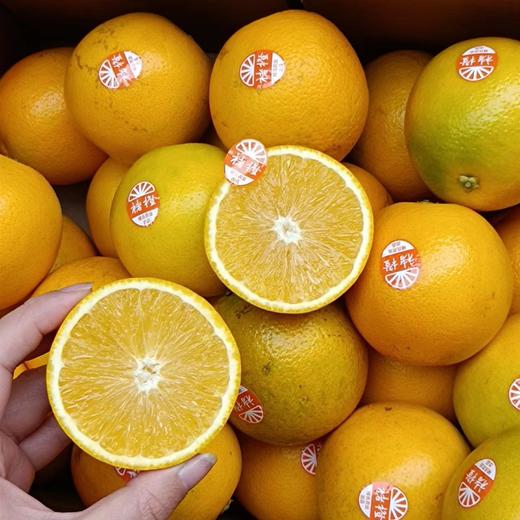 褚橙优级礼盒装 商品图0