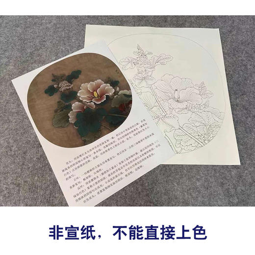 【有步骤、大彩图】李晓明工笔画白描底稿小品《临宋蜀葵图》KG13 商品图2
