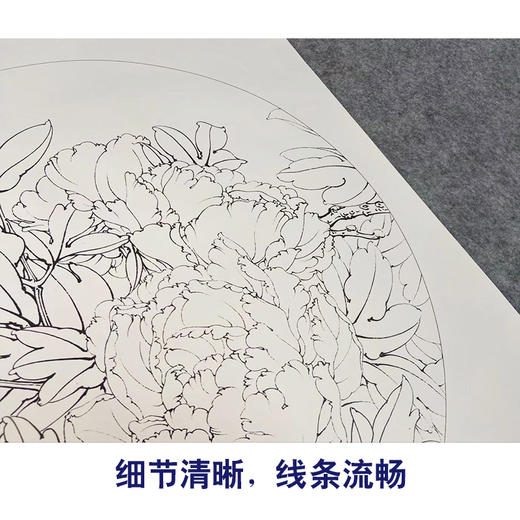【有步骤、大彩图】工笔画白描底稿《酒醉杨妃》牡丹花鸟线稿KG10 商品图4