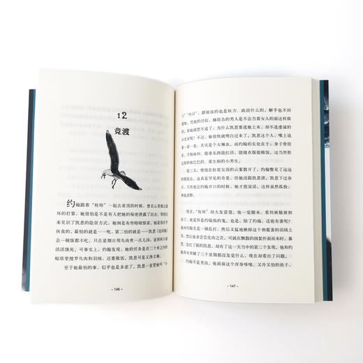 在世界尽头：奇想文库儿童文学平装 商品图5