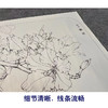 【有步骤、大彩图】工笔画白描底稿《粉紫荆》紫荆花花鸟线稿KG04 商品缩略图4