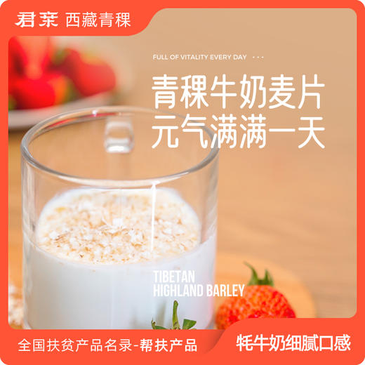 青稞麦片系列浓香牦牛奶味青稞片 800g/袋 西藏无污染原产地 健康 商品图1