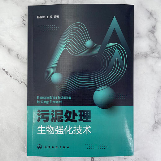 污泥处理生物强化技术 商品图2