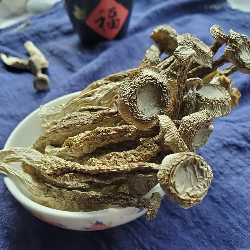 野生鹿茸菇图片大全图片