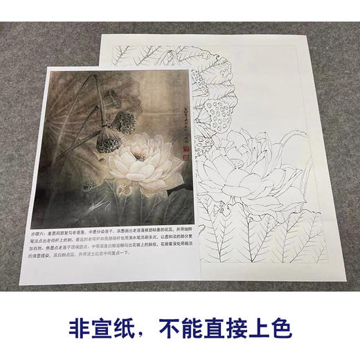 【有步骤、大彩图】李晓明工笔画白描底稿小品《亘古》荷花初学者临摹花鸟线稿KE16 商品图2