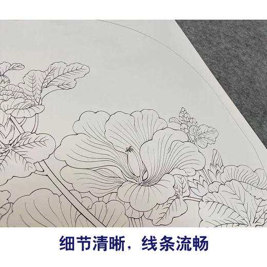【有步骤、大彩图】李晓明工笔画白描底稿小品《临宋蜀葵图》KG13 商品图4