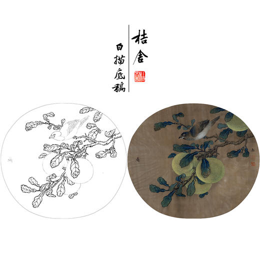 【有步骤、大彩图】工笔画白描稿橘子麻雀临摹勾线花鸟线稿KG11 商品图0