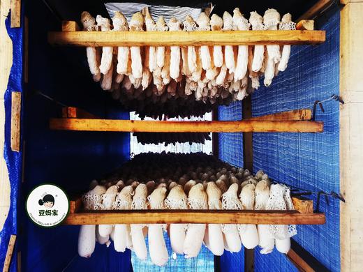 【豆妈家】织金红托无硫竹荪 商品图2