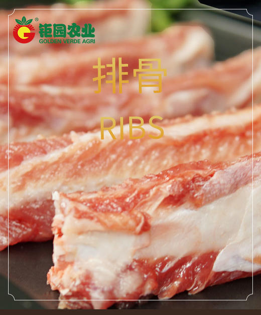 【黑精刚】黑毛猪豪华大礼盒龙骨 排骨五花肉梅花肉猪肘 里脊肉11斤装 商品图1