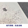 【有步骤、大彩图】李晓明工笔画白描底稿牡丹鹦鹉图花鸟线稿KG17 商品缩略图4